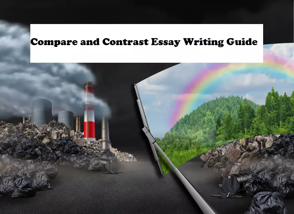 how-to-write-a-compare-and-contrast-essay