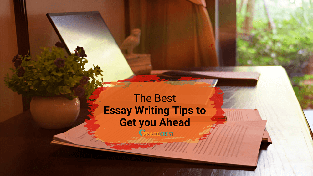 top-essay-writing-tips-for-college-students-and-beyond