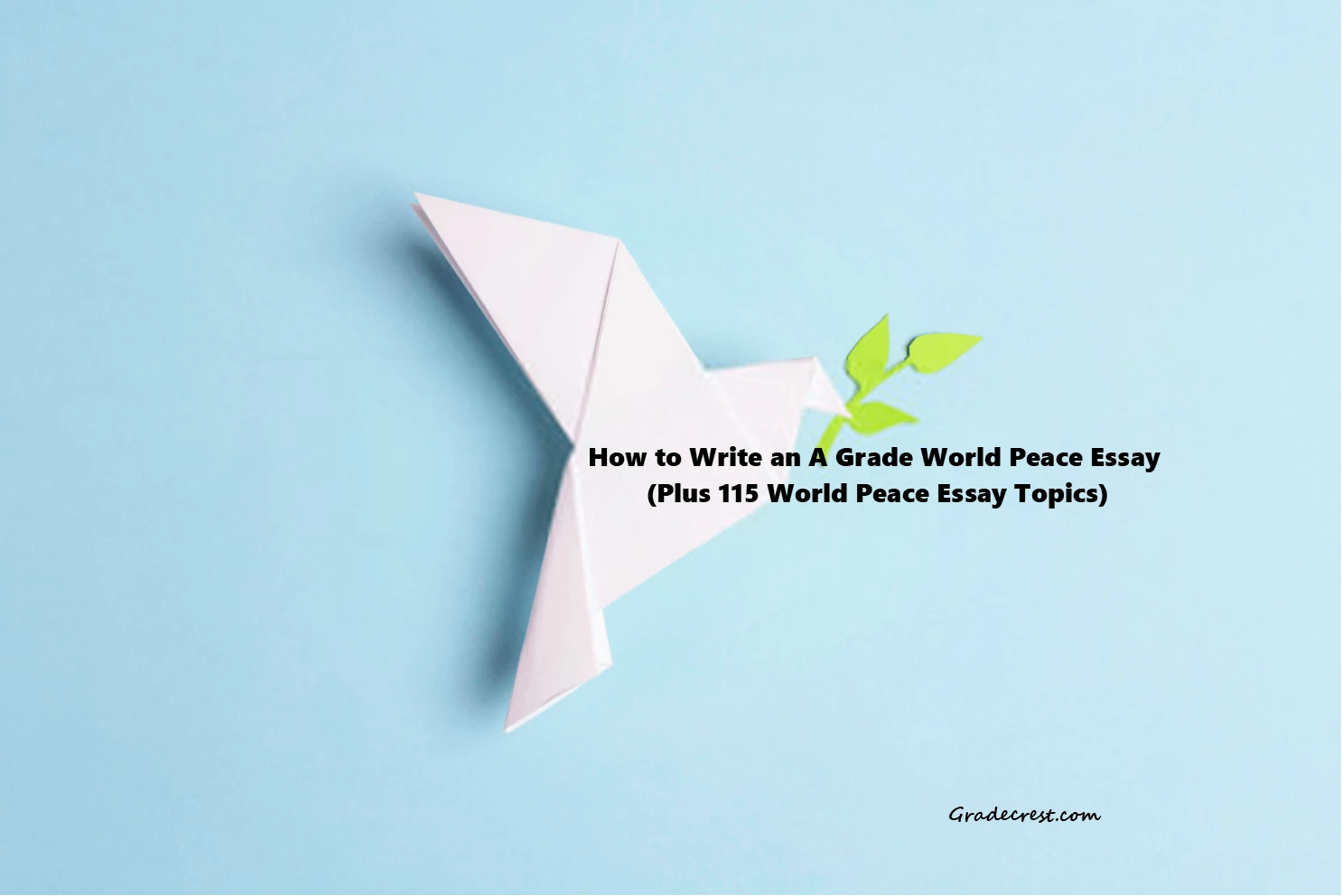 world-peace-essay-guide