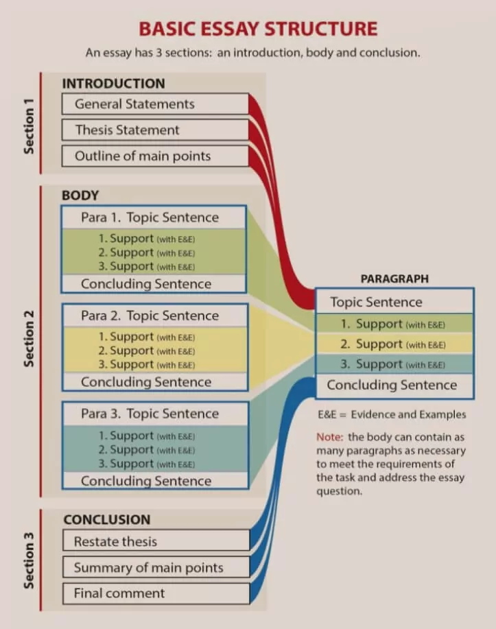 The basic structure of an Essay